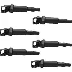 6 PCS  BAPMIC Ignition Coil Kit Front for BMW E46 Z4 E85 12137571643